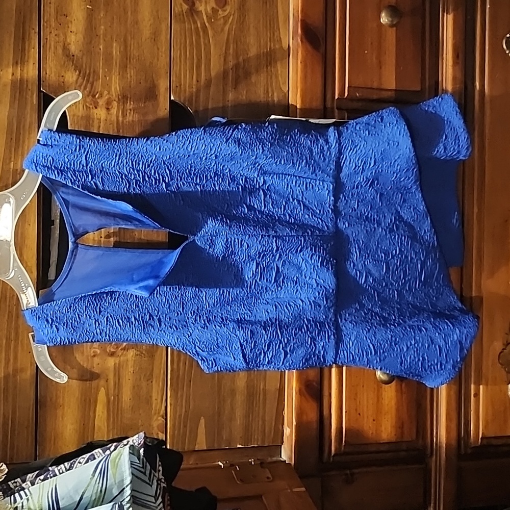 Blue blouse Lg